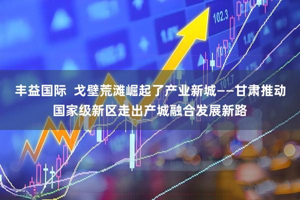 丰益国际  戈壁荒滩崛起了产业新城——甘肃推动国家级新区走出产城融合发展新路