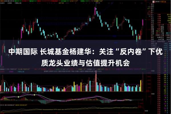 中期国际 长城基金杨建华：关注“反内卷”下优质龙头业绩与估值提升机会
