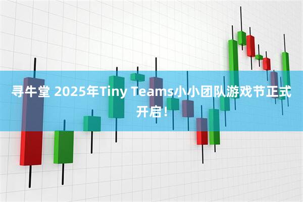 寻牛堂 2025年Tiny Teams小小团队游戏节正式开启！