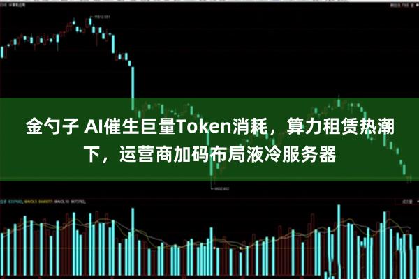 金勺子 AI催生巨量Token消耗，算力租赁热潮下，运营商加码布局液冷服务器
